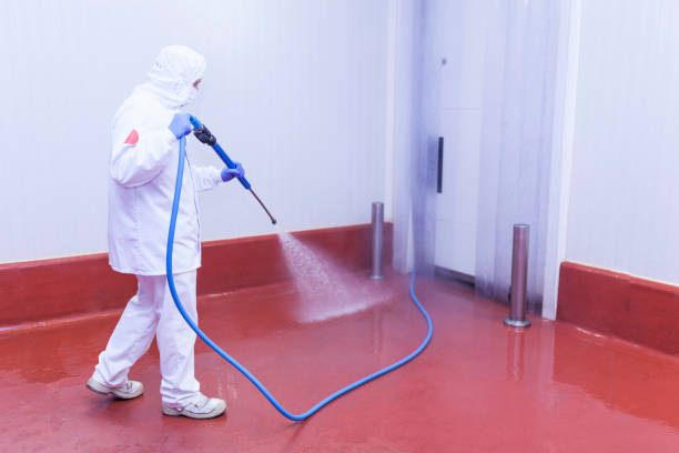 Best House Exterior Washing  in Hialeah, FL